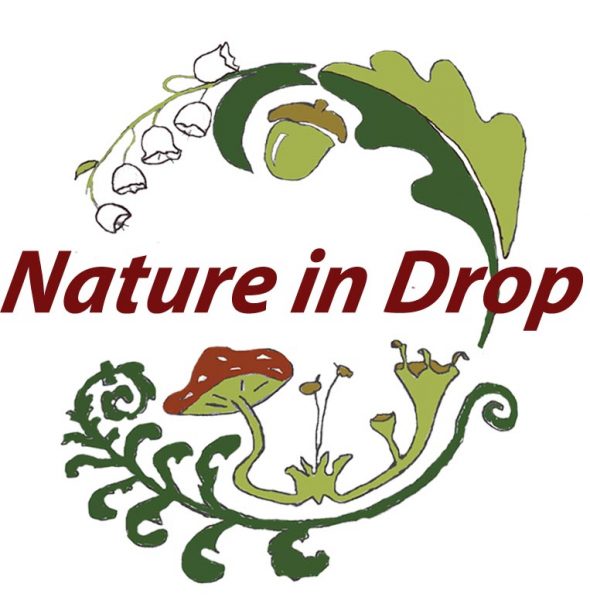 Olga Vondráková (Nature in Drop)